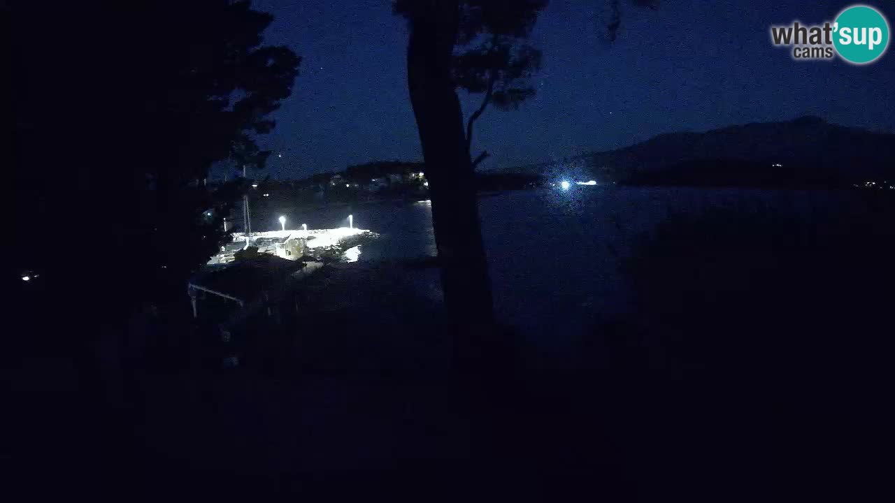 Camera en vivo Lumbarda – Playa Prvi Žal – Korčula