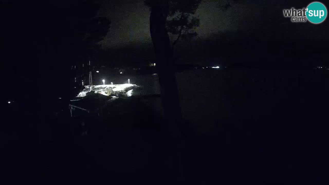 Camera en vivo Lumbarda – Playa Prvi Žal – Korčula