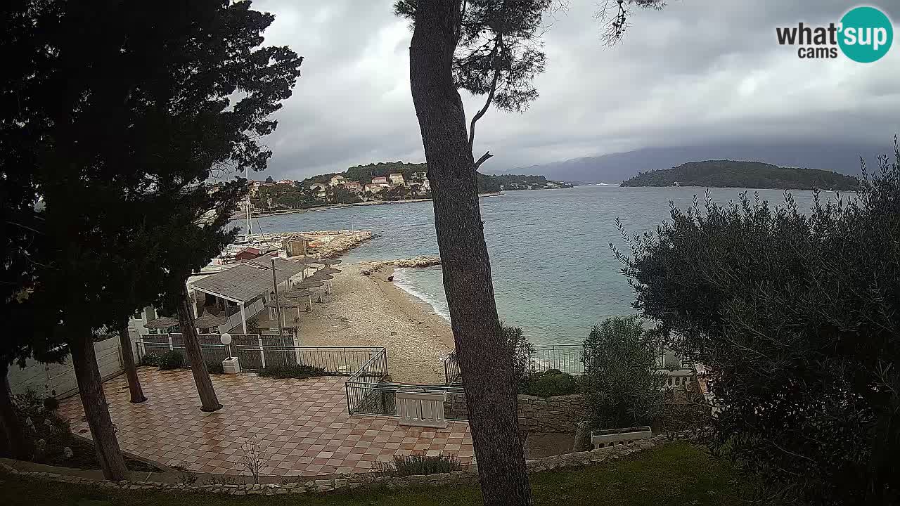 Camera en vivo Lumbarda – Playa Prvi Žal – Korčula