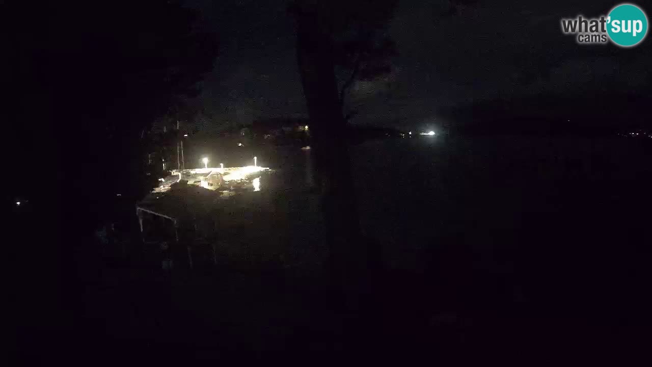 Camera en vivo Lumbarda – Playa Prvi Žal – Korčula