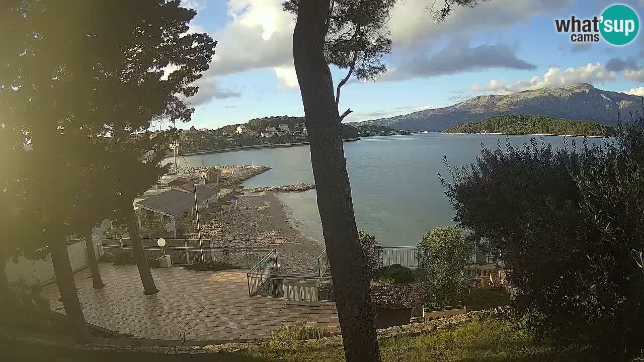 Camera en vivo Lumbarda – Playa Prvi Žal – Korčula