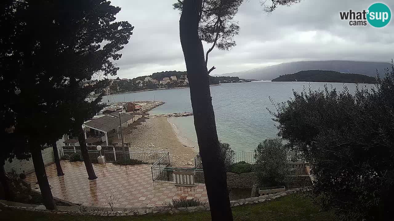 Camera en vivo Lumbarda – Playa Prvi Žal – Korčula