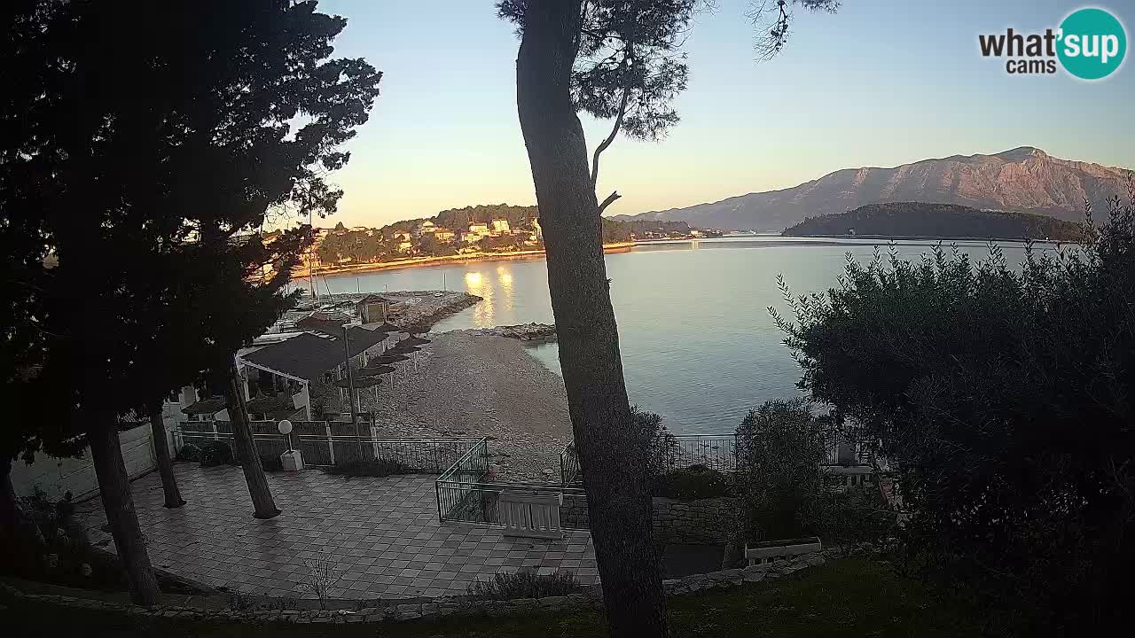 Camera en vivo Lumbarda – Playa Prvi Žal – Korčula