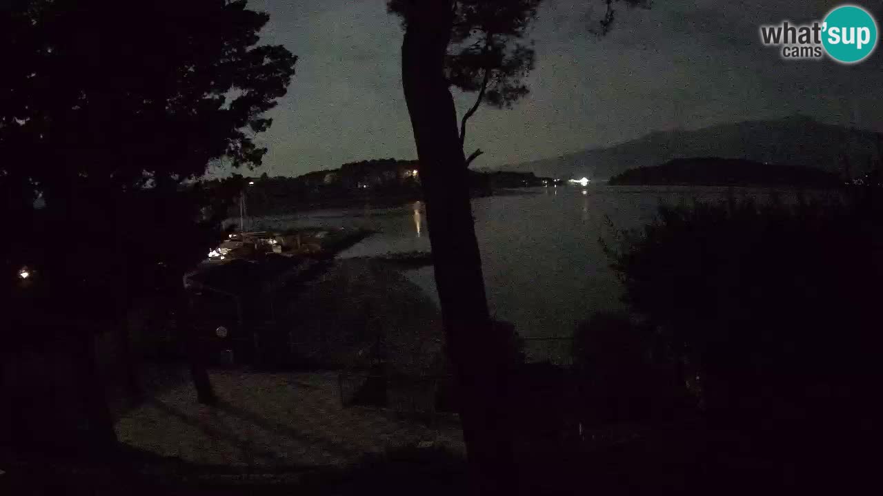 Camera en vivo Lumbarda – Playa Prvi Žal – Korčula