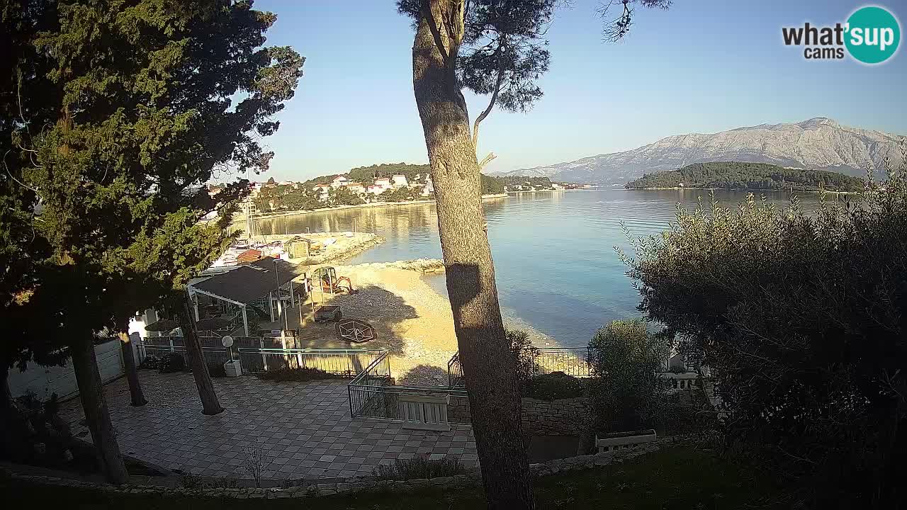 Camera en vivo Lumbarda – Playa Prvi Žal – Korčula