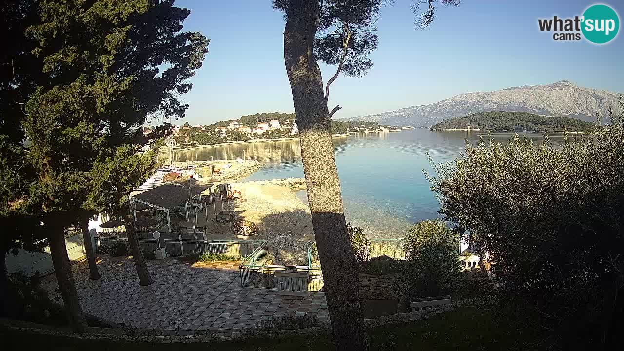 Camera en vivo Lumbarda – Playa Prvi Žal – Korčula
