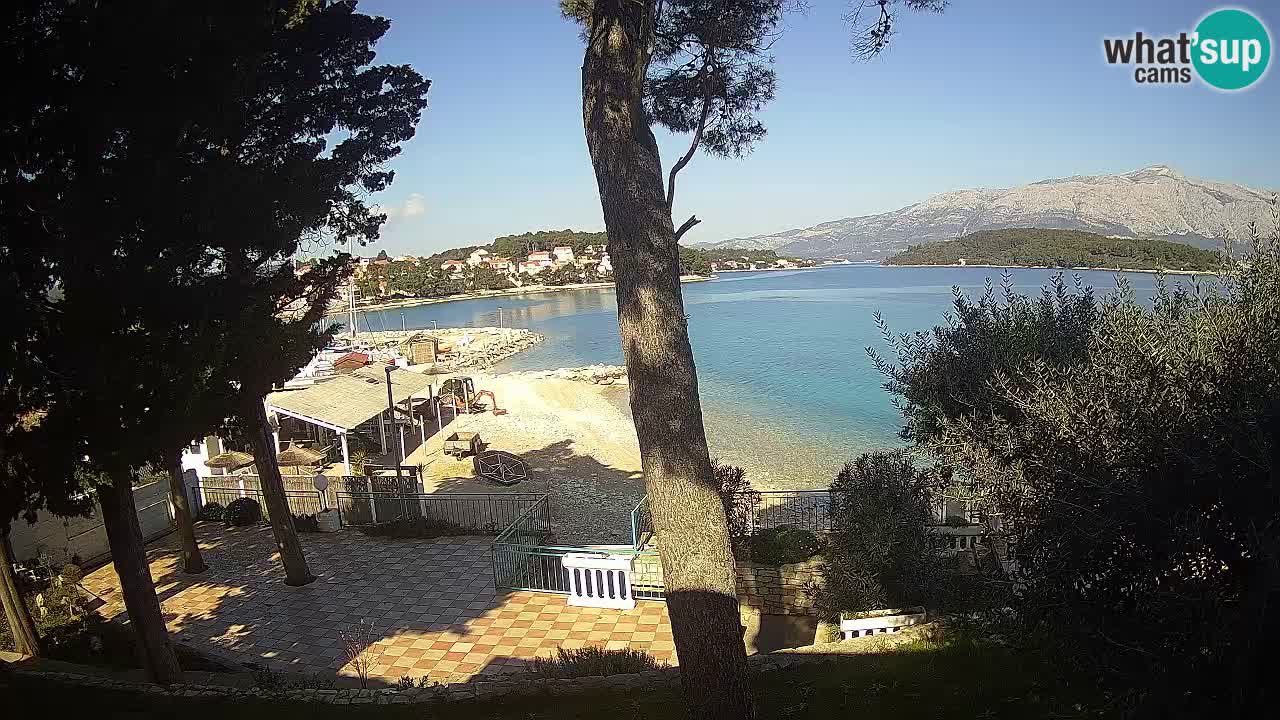Camera en vivo Lumbarda – Playa Prvi Žal – Korčula