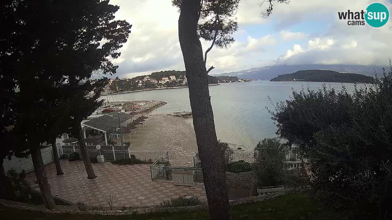 Camera en vivo Lumbarda – Playa Prvi Žal – Korčula