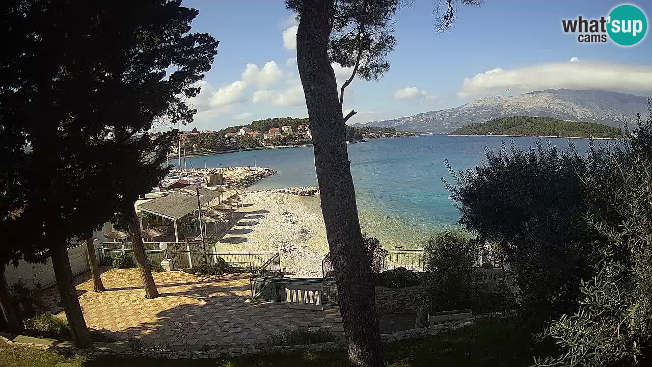 Camera en vivo Lumbarda – Playa Prvi Žal – Korčula