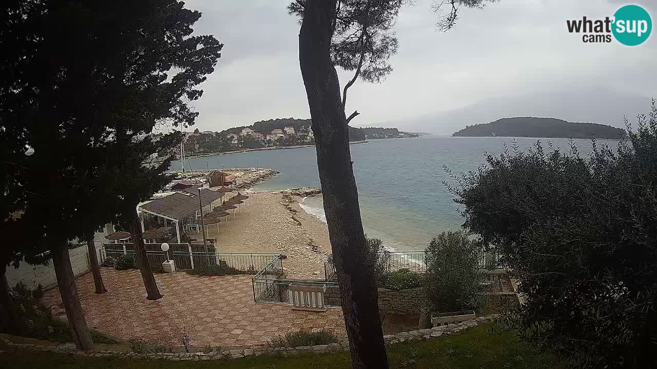 Camera en vivo Lumbarda – Playa Prvi Žal – Korčula