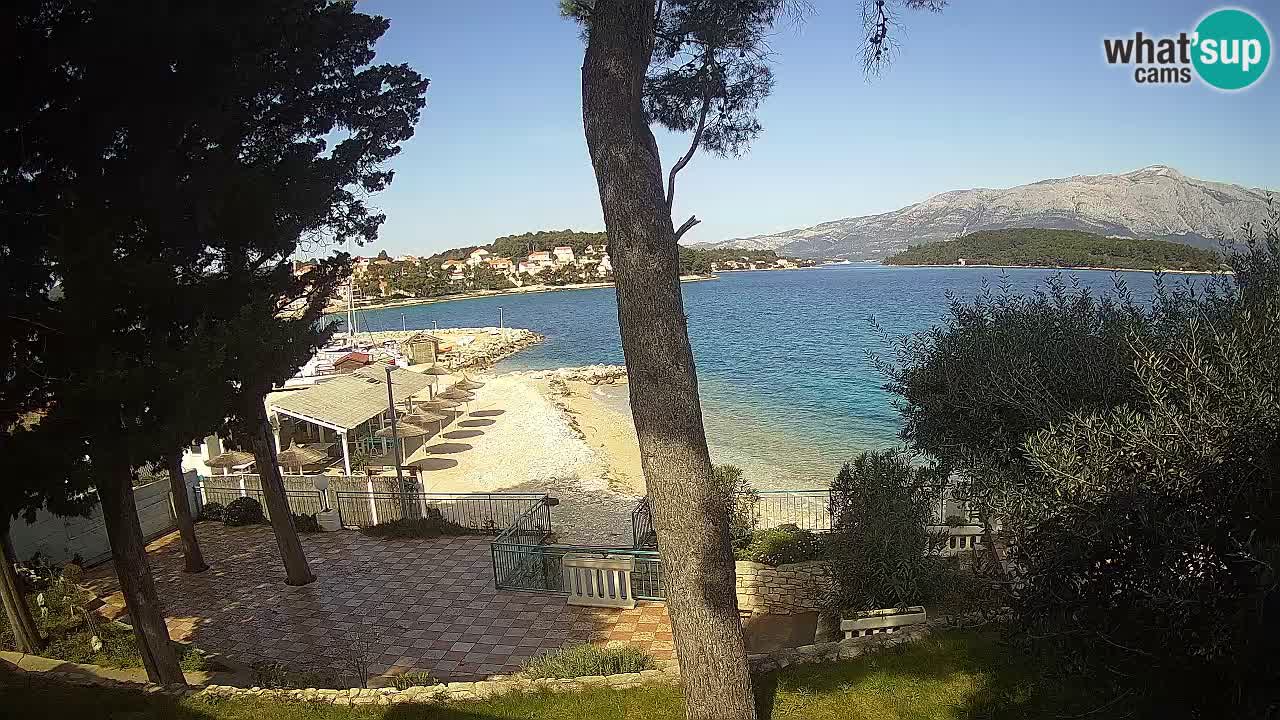 Camera en vivo Lumbarda – Playa Prvi Žal – Korčula