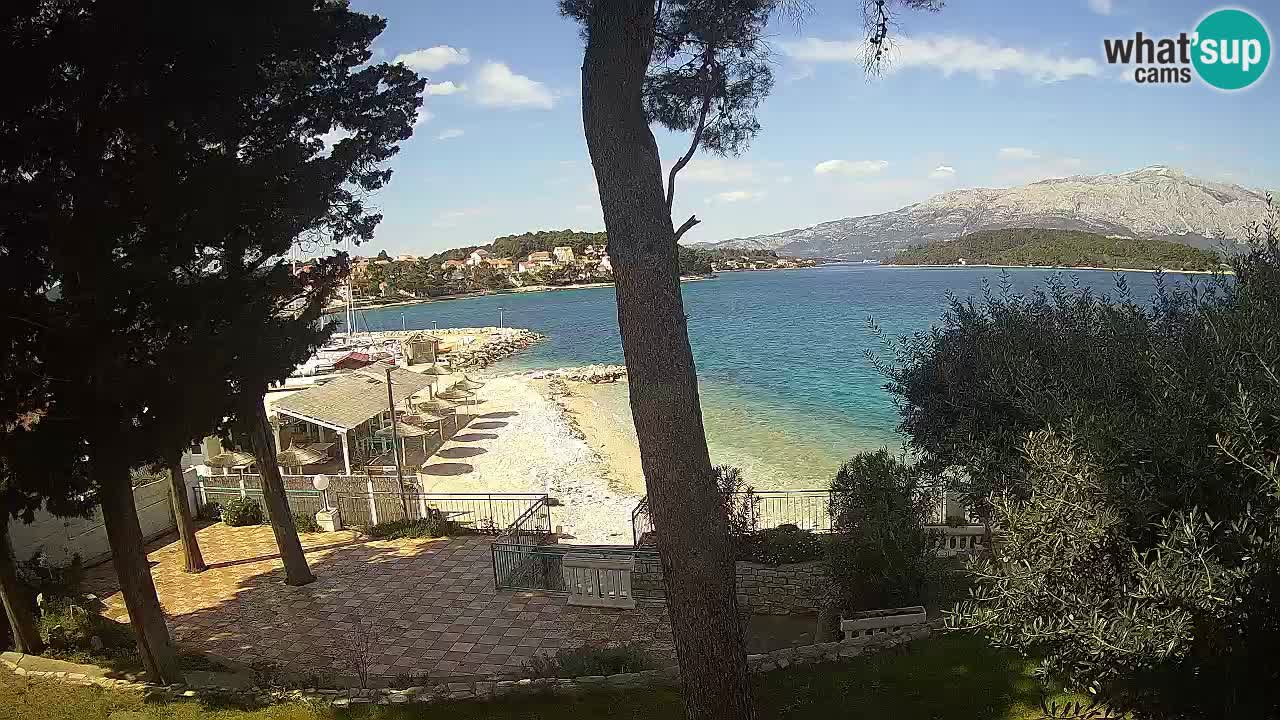 Camera en vivo Lumbarda – Playa Prvi Žal – Korčula