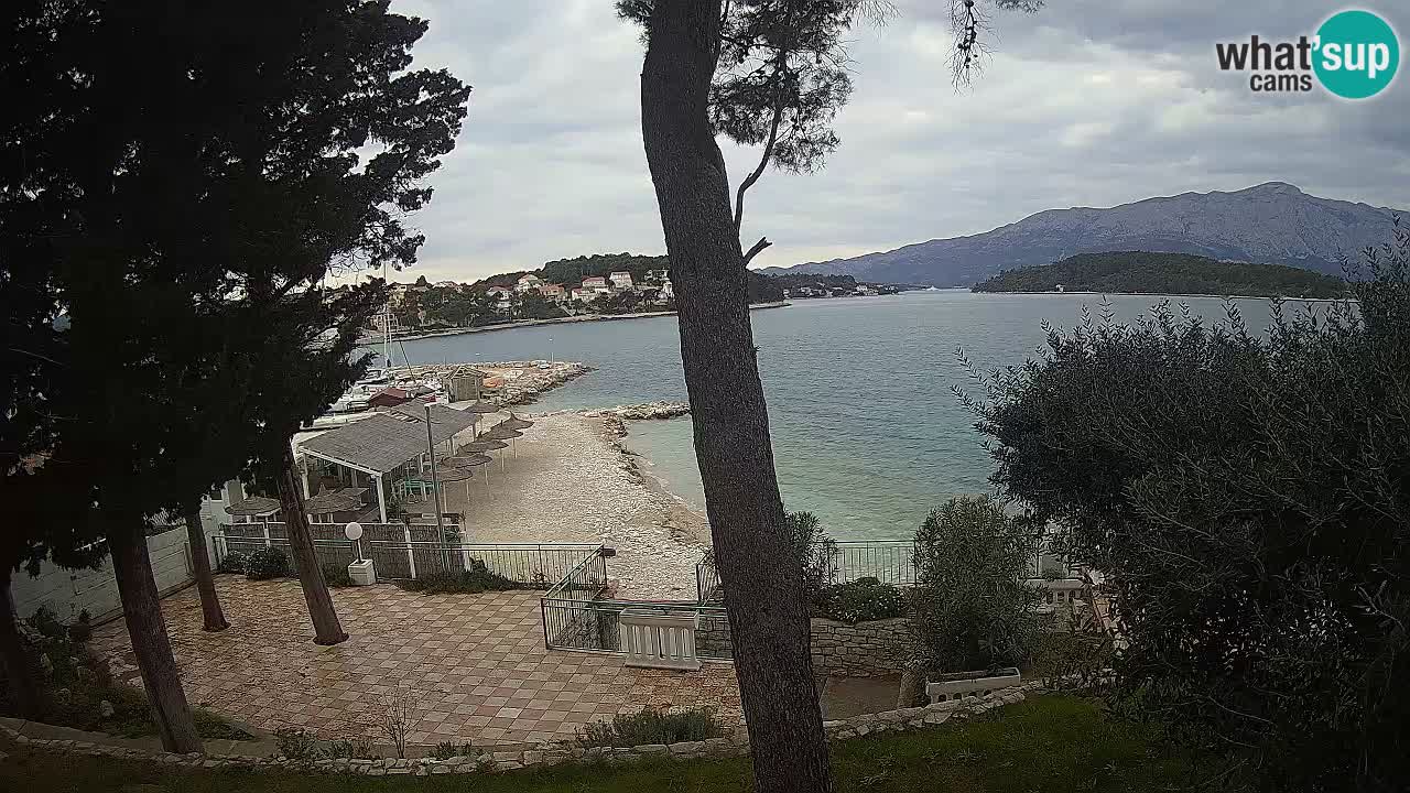 Camera en vivo Lumbarda – Playa Prvi Žal – Korčula