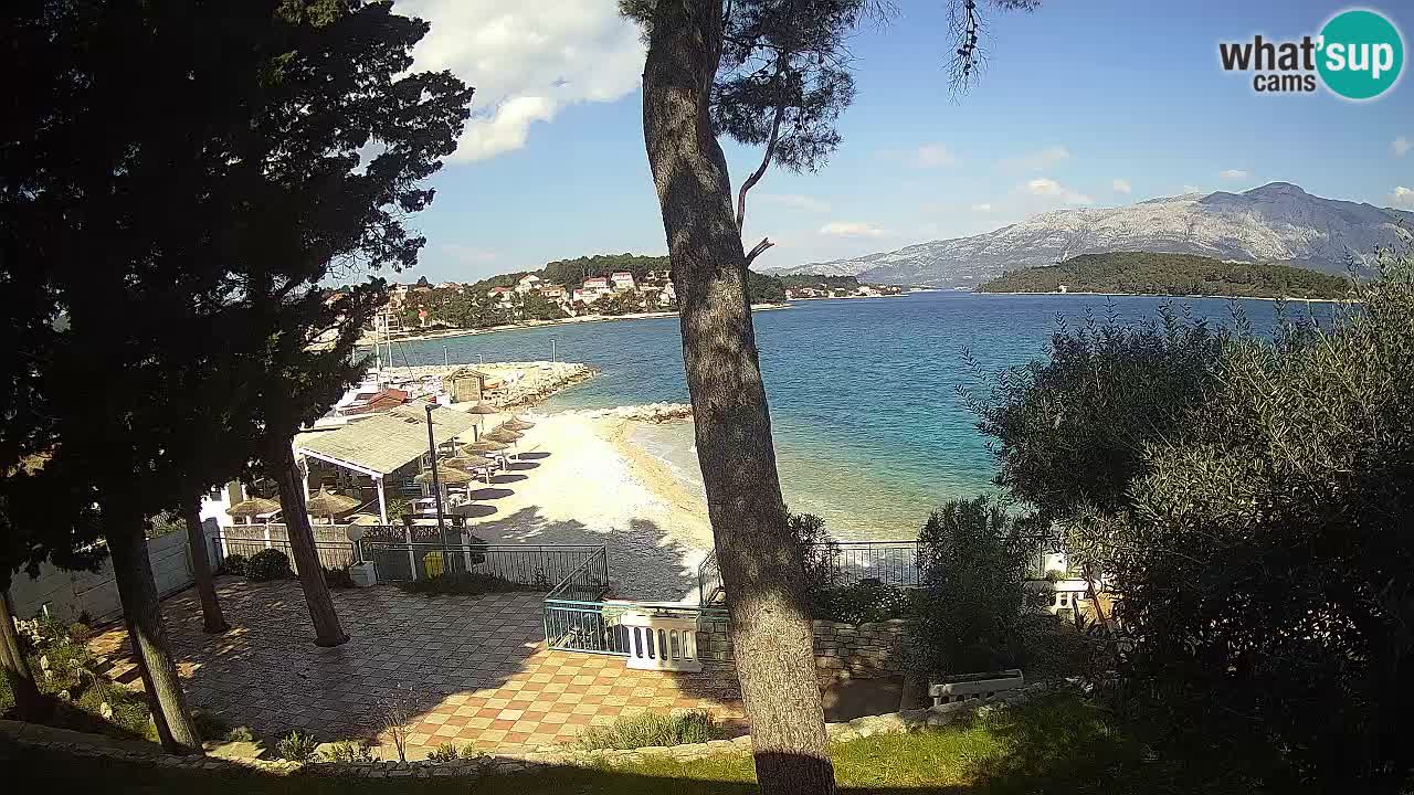 Camera en vivo Lumbarda – Playa Prvi Žal – Korčula