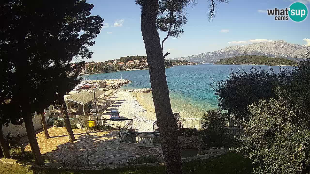 Camera en vivo Lumbarda – Playa Prvi Žal – Korčula