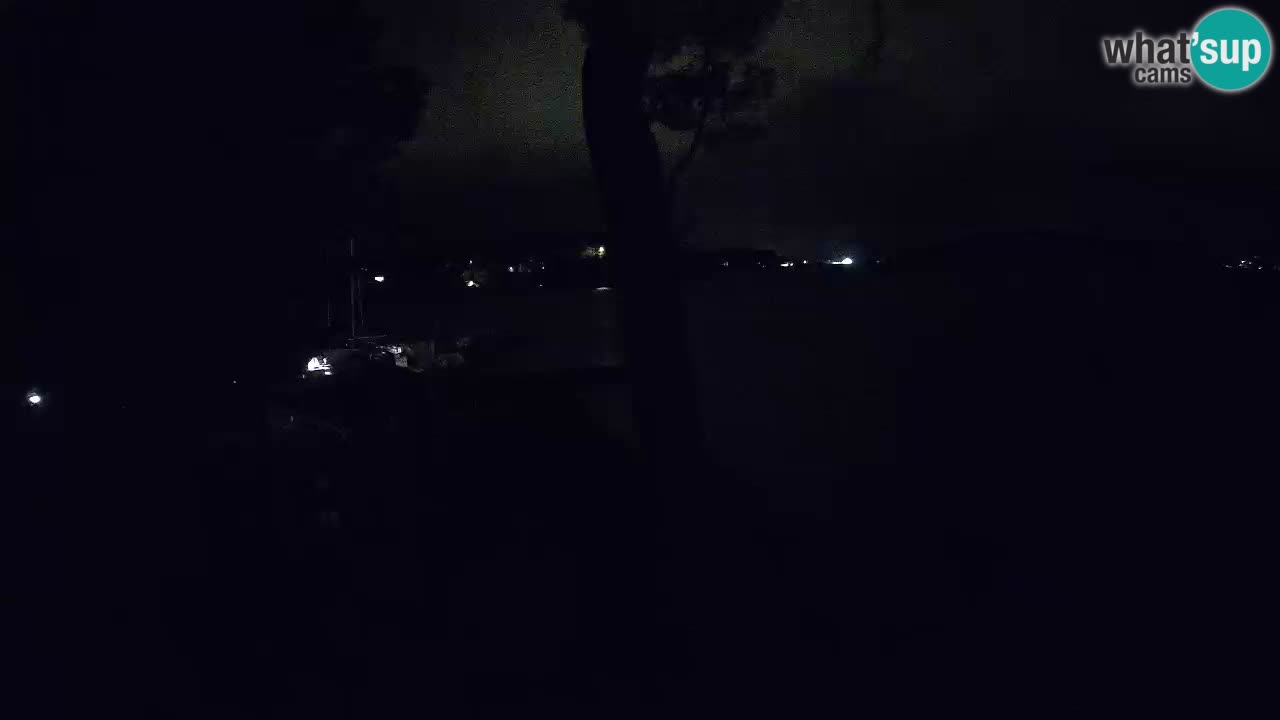 Camera en vivo Lumbarda – Playa Prvi Žal – Korčula