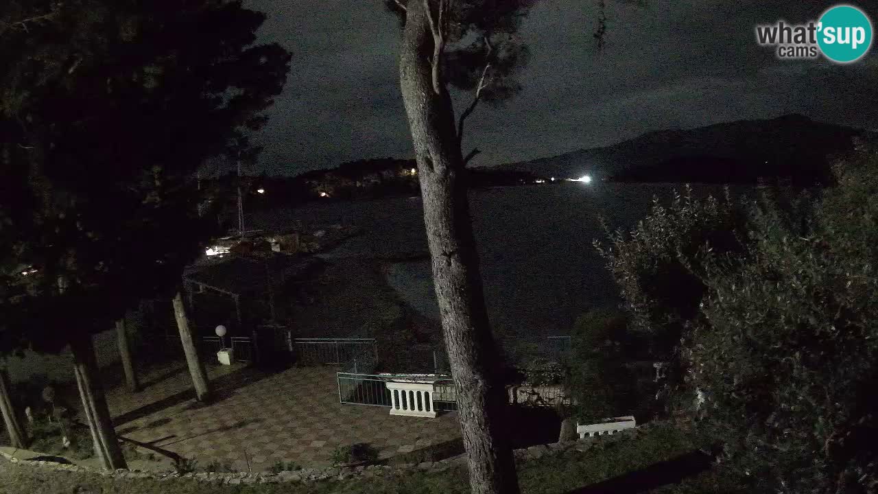 Camera en vivo Lumbarda – Playa Prvi Žal – Korčula