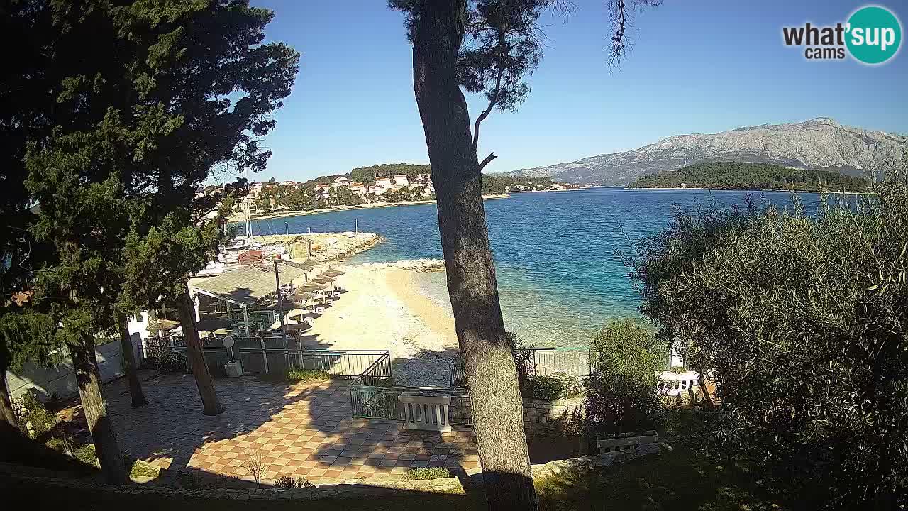 Camera en vivo Lumbarda – Playa Prvi Žal – Korčula