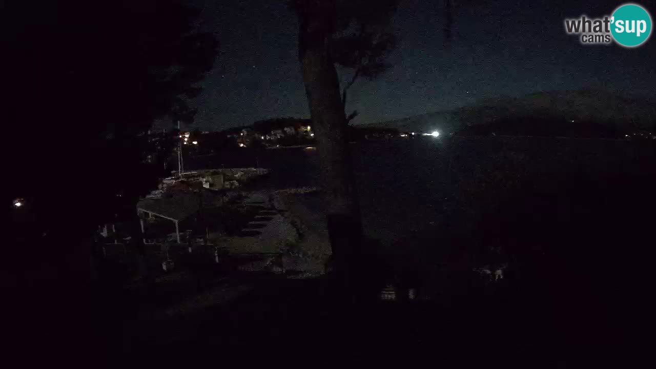 Camera en vivo Lumbarda – Playa Prvi Žal – Korčula