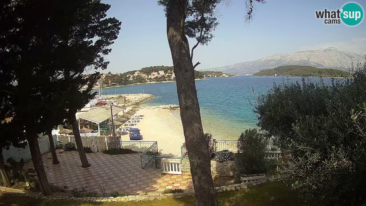 Camera en vivo Lumbarda – Playa Prvi Žal – Korčula