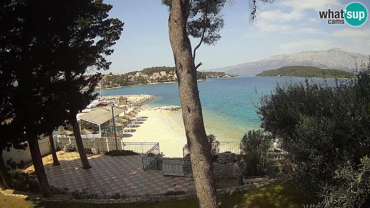 Camera en vivo Lumbarda – Playa Prvi Žal – Korčula