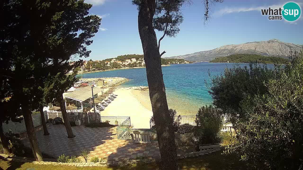 Camera en vivo Lumbarda – Playa Prvi Žal – Korčula