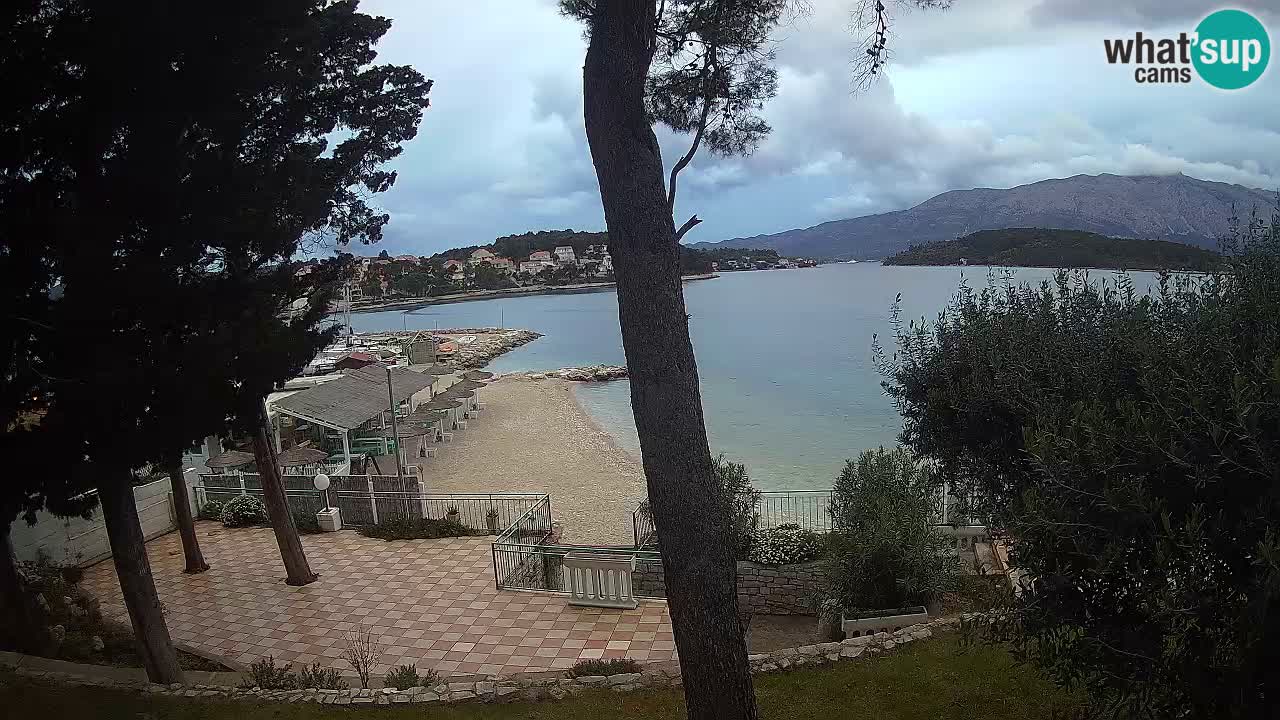 Camera en vivo Lumbarda – Playa Prvi Žal – Korčula