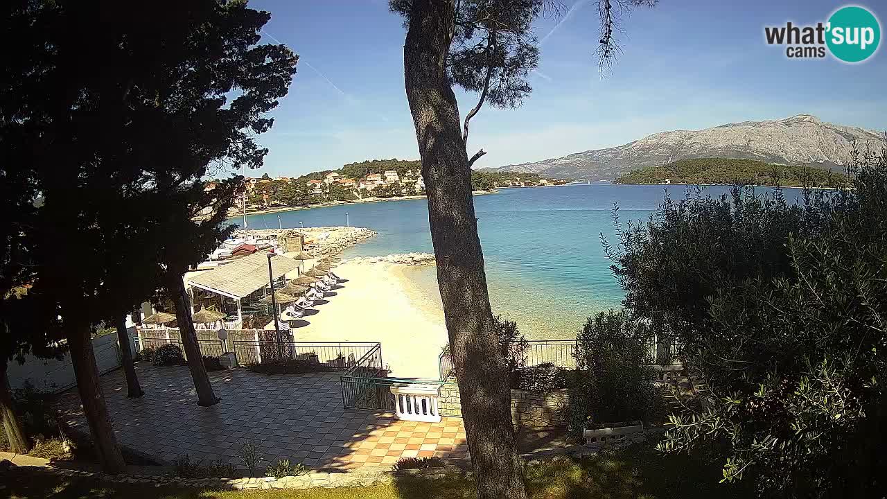 Camera en vivo Lumbarda – Playa Prvi Žal – Korčula