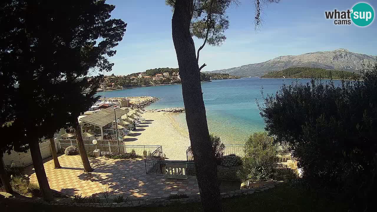 Camera en vivo Lumbarda – Playa Prvi Žal – Korčula