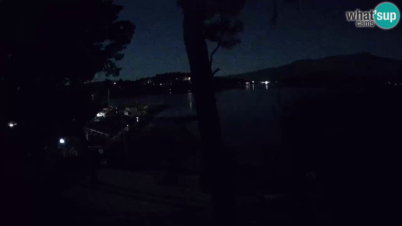 Camera en vivo Lumbarda – Playa Prvi Žal – Korčula
