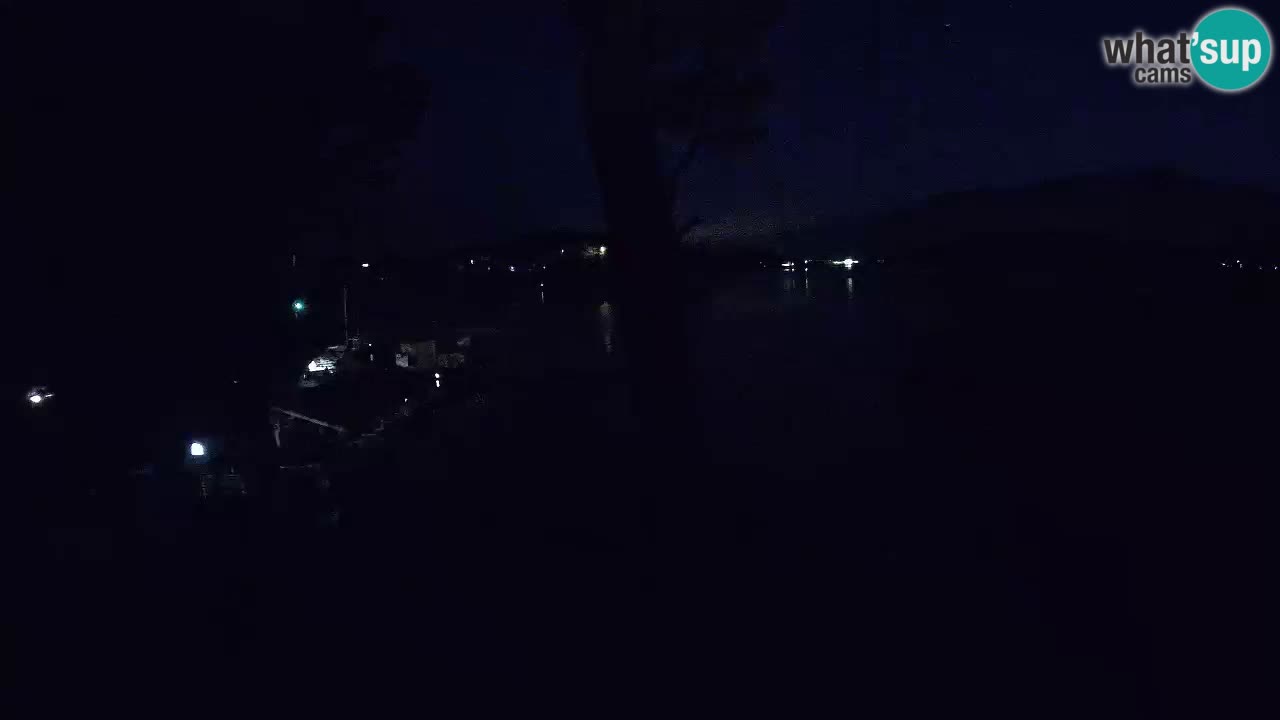 Camera en vivo Lumbarda – Playa Prvi Žal – Korčula