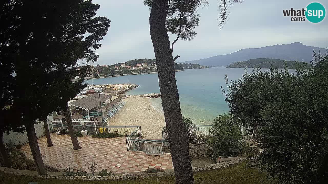 Camera en vivo Lumbarda – Playa Prvi Žal – Korčula