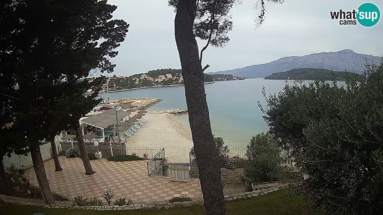 Camera en vivo Lumbarda – Playa Prvi Žal – Korčula