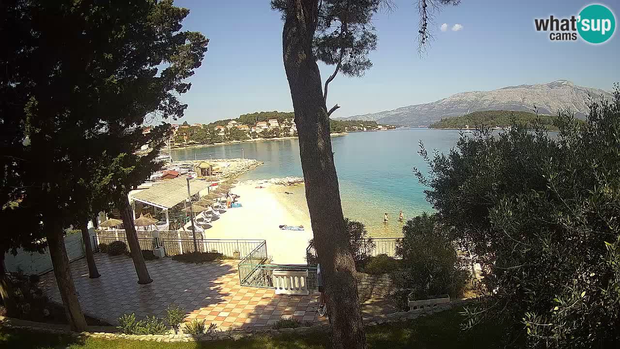 Camera en vivo Lumbarda – Playa Prvi Žal – Korčula