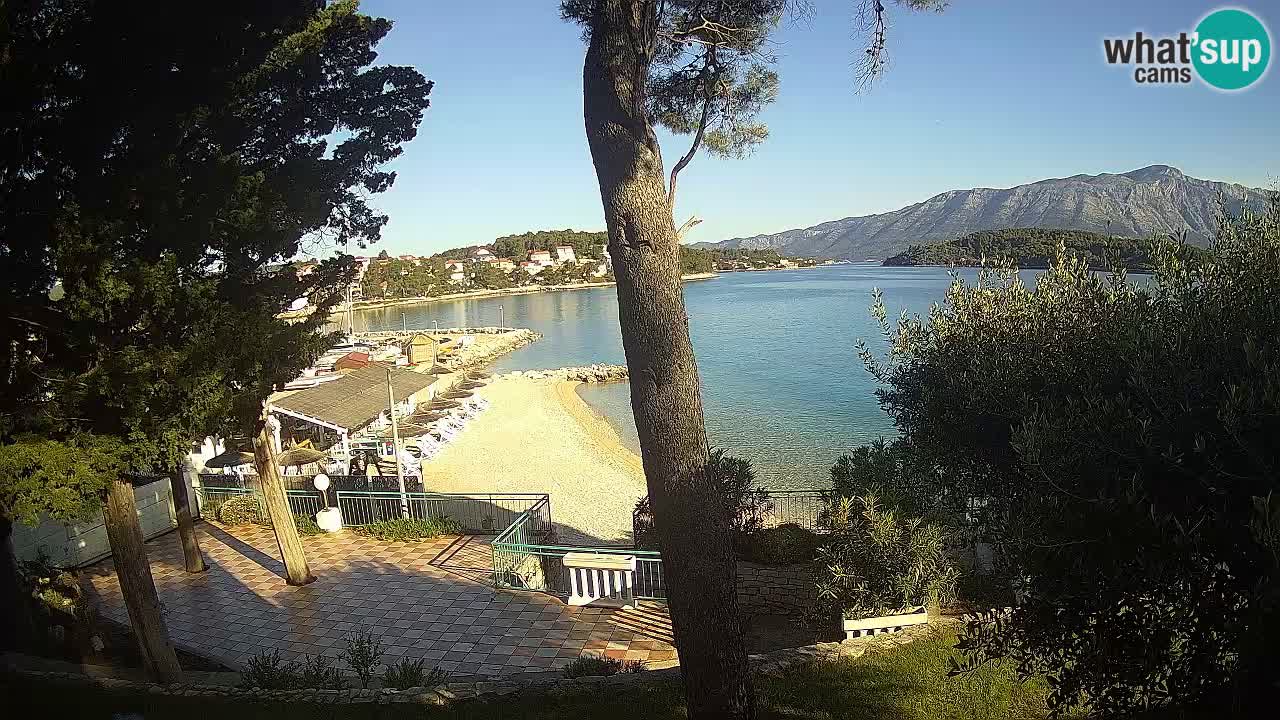 Camera en vivo Lumbarda – Playa Prvi Žal – Korčula