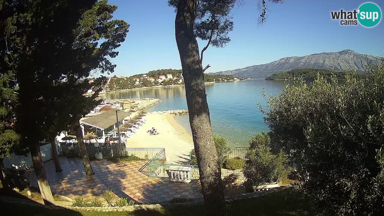 Camera en vivo Lumbarda – Playa Prvi Žal – Korčula