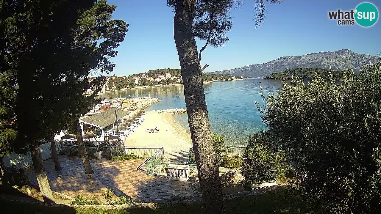 Camera en vivo Lumbarda – Playa Prvi Žal – Korčula