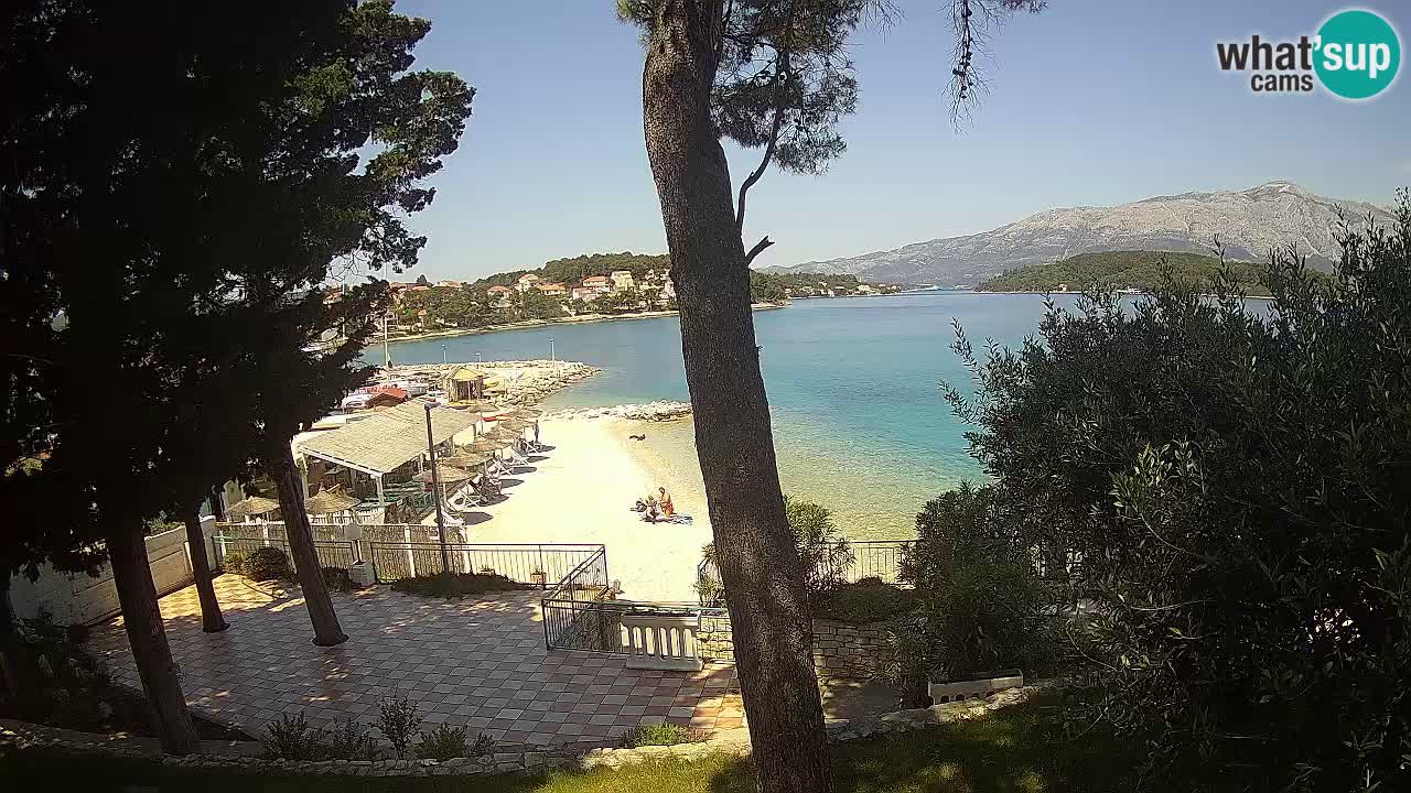 Camera en vivo Lumbarda – Playa Prvi Žal – Korčula