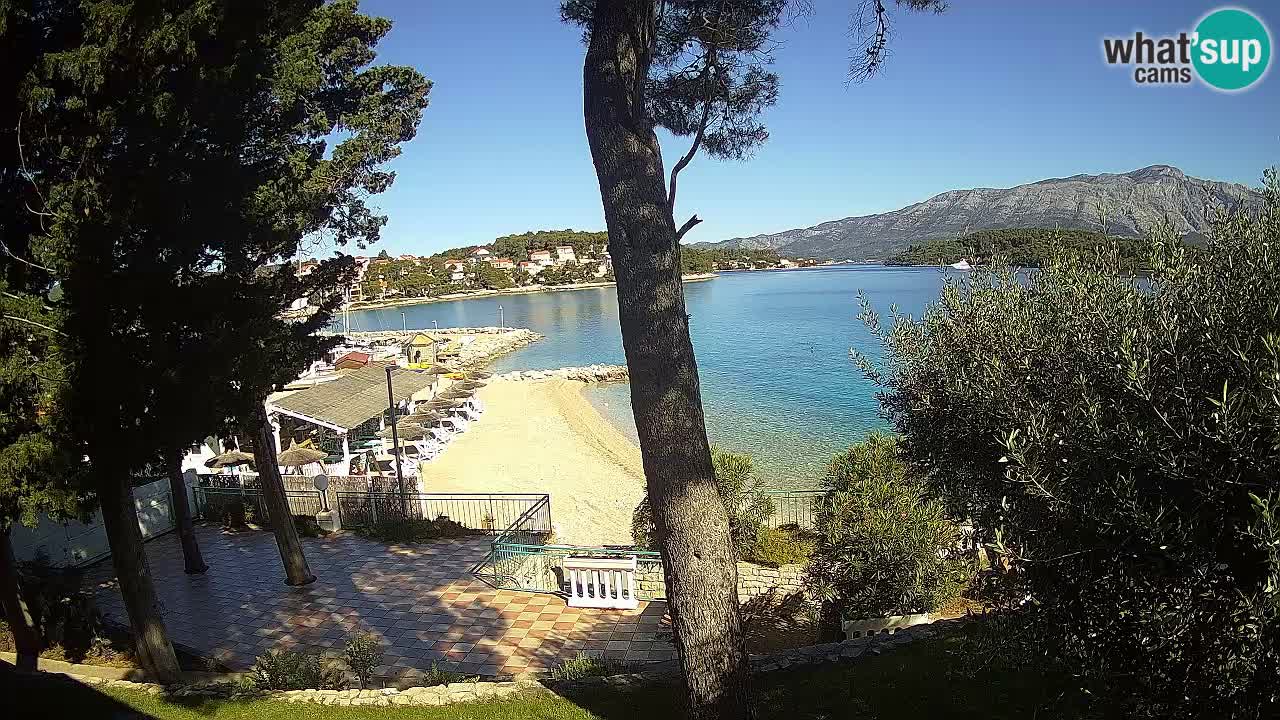 Camera en vivo Lumbarda – Playa Prvi Žal – Korčula