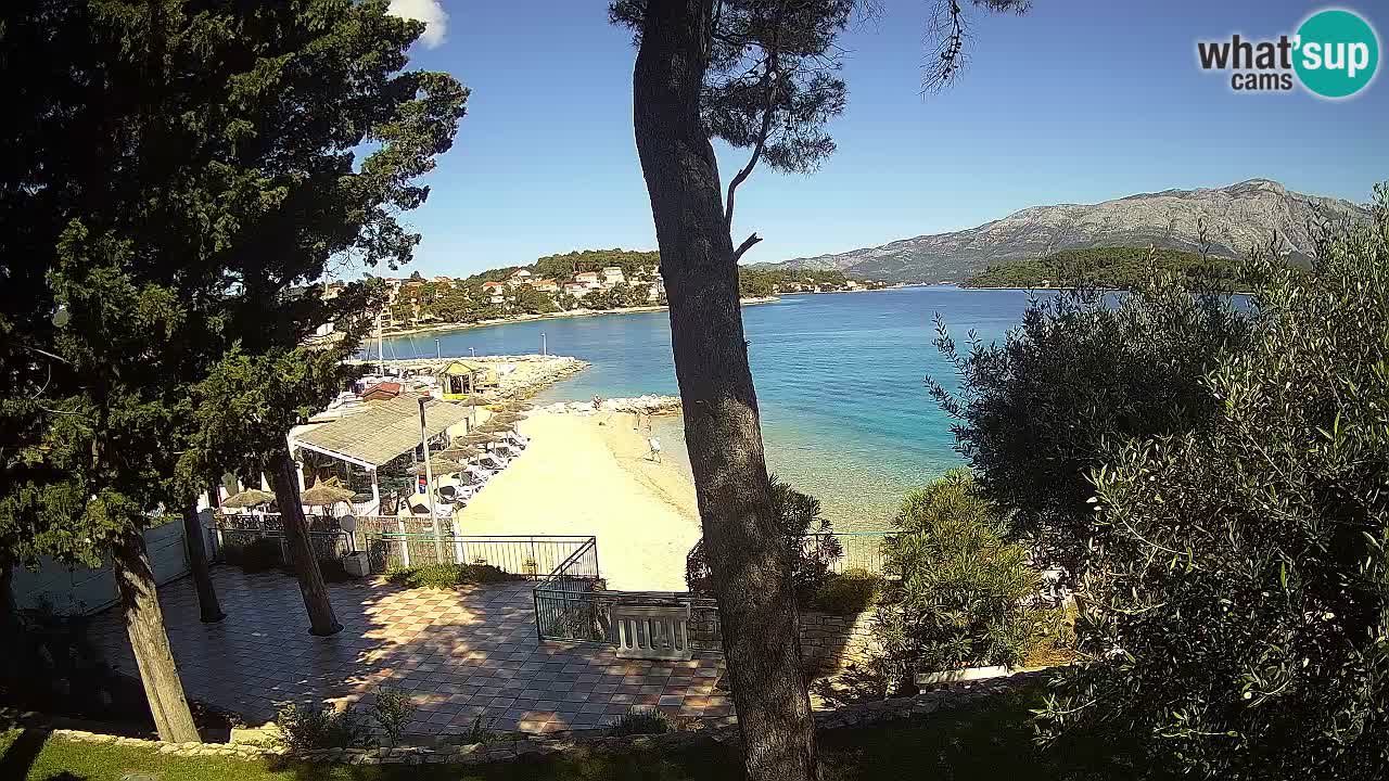 Camera en vivo Lumbarda – Playa Prvi Žal – Korčula