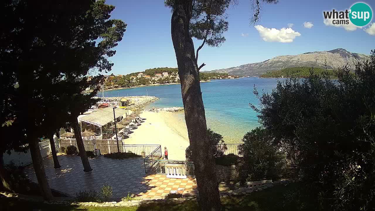 Camera en vivo Lumbarda – Playa Prvi Žal – Korčula