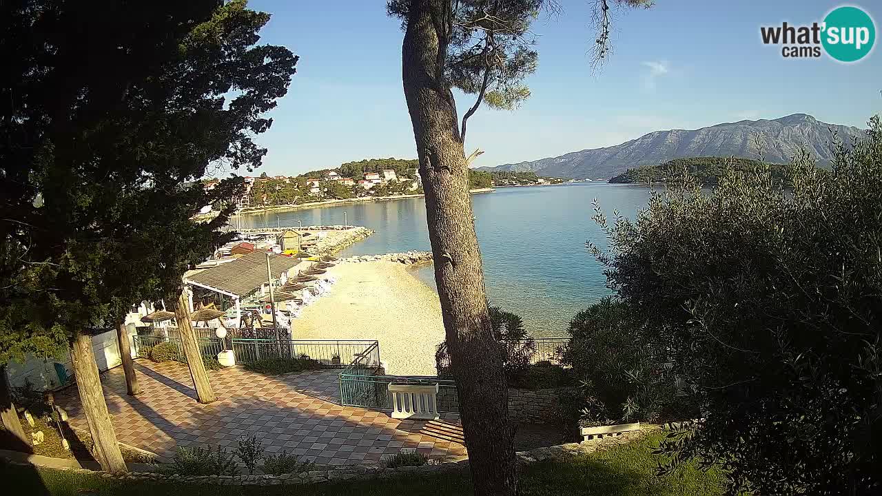 Camera en vivo Lumbarda – Playa Prvi Žal – Korčula