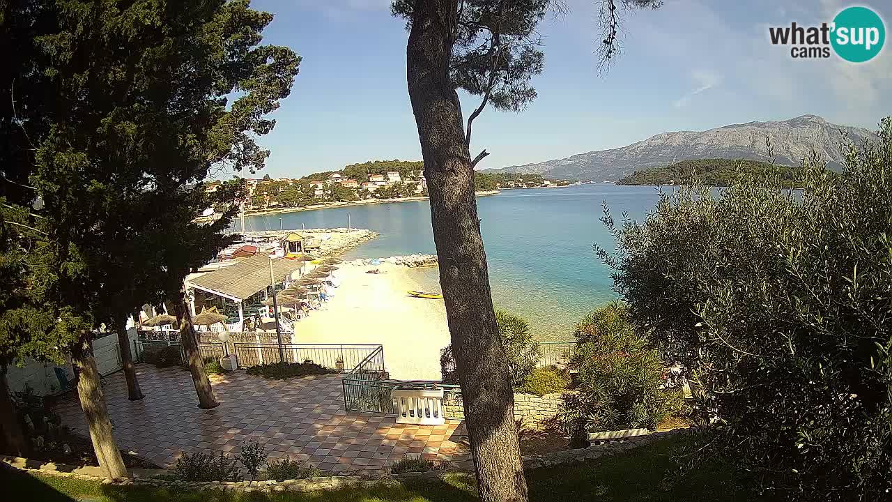 Camera en vivo Lumbarda – Playa Prvi Žal – Korčula