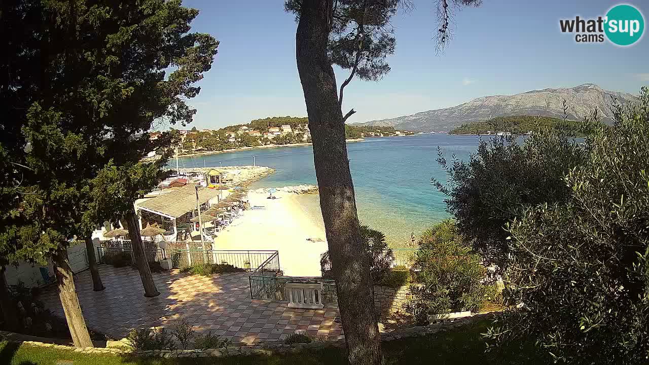 Camera en vivo Lumbarda – Playa Prvi Žal – Korčula