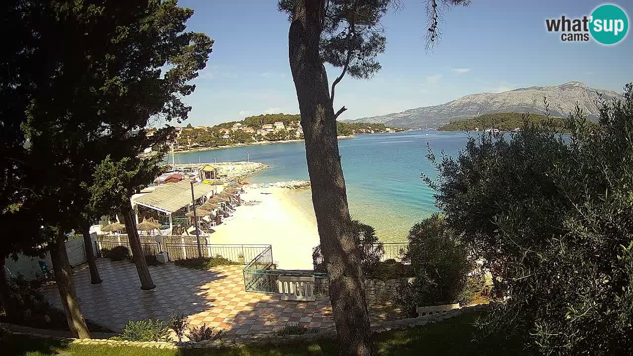 Camera en vivo Lumbarda – Playa Prvi Žal – Korčula