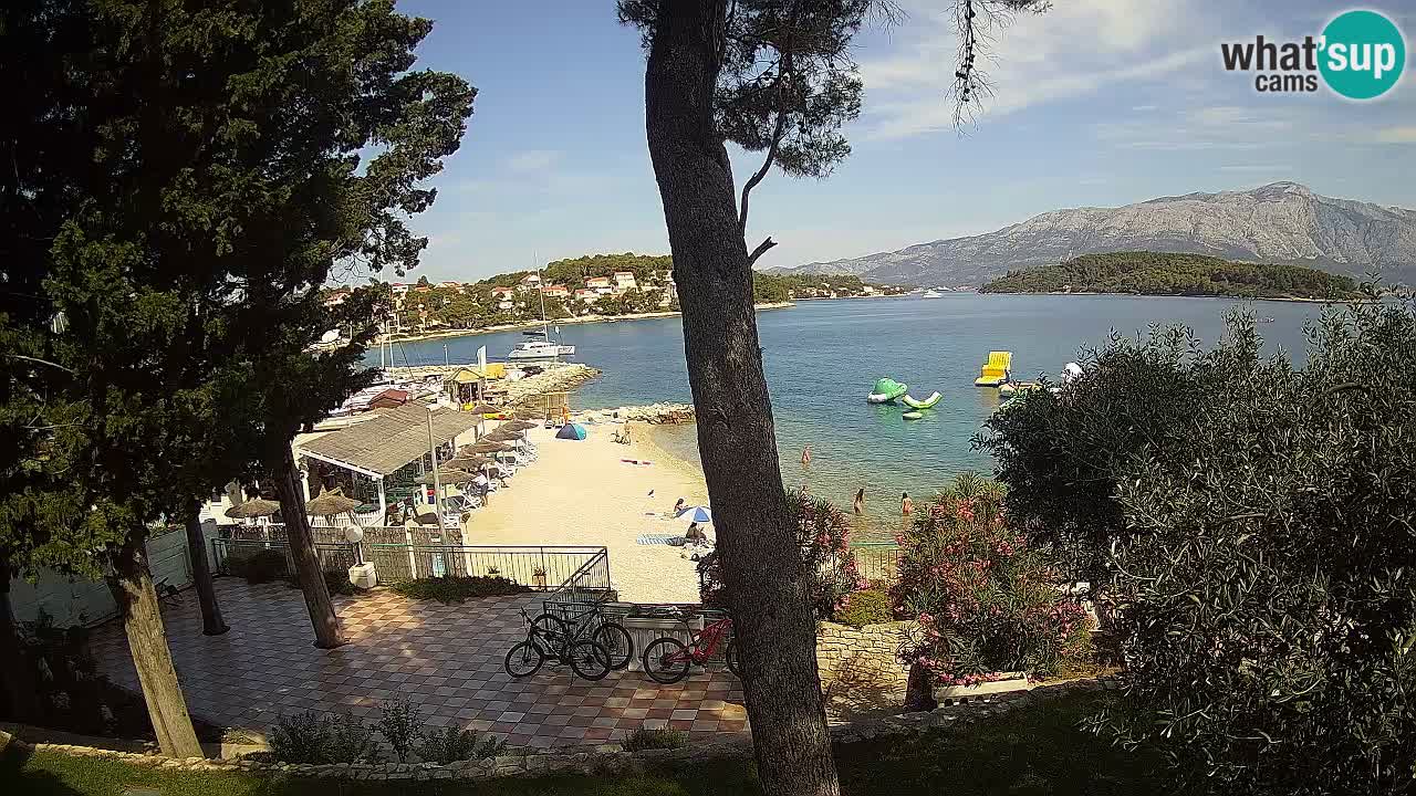 Camera en vivo Lumbarda – Playa Prvi Žal – Korčula