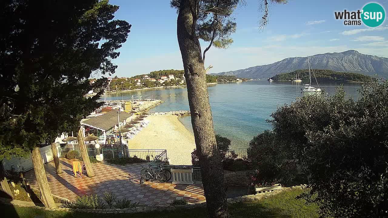 Camera en vivo Lumbarda – Playa Prvi Žal – Korčula