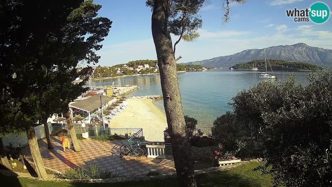 Camera en vivo Lumbarda – Playa Prvi Žal – Korčula