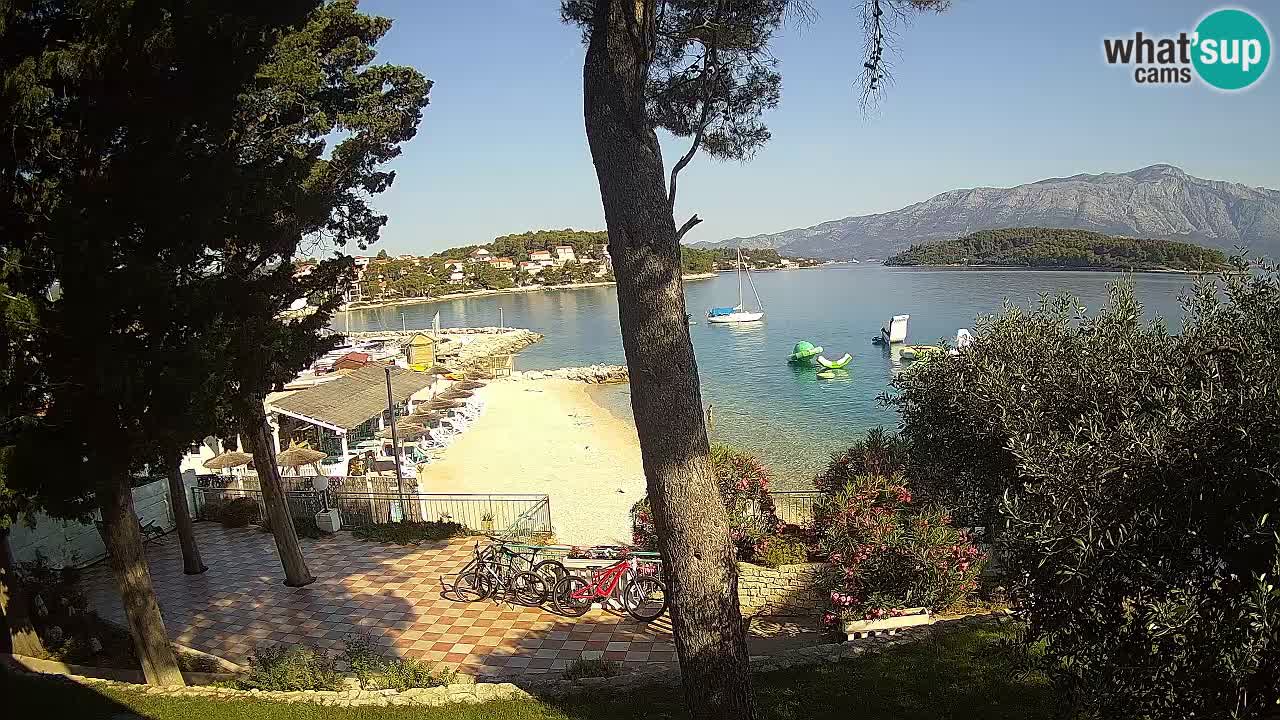 Camera en vivo Lumbarda – Playa Prvi Žal – Korčula