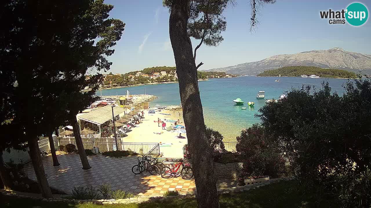 Camera en vivo Lumbarda – Playa Prvi Žal – Korčula